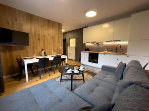 URBAN APARTMENTS Premium Nr 3 Chorzow Katowice, 1- 4 people